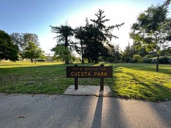 Multiple nearby parks